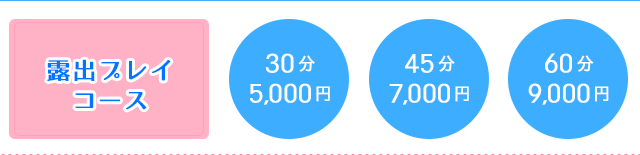 露出プレイコース
